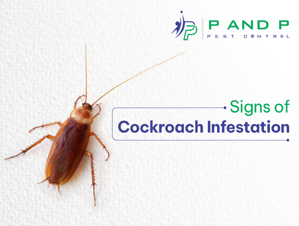 sign of cockroach